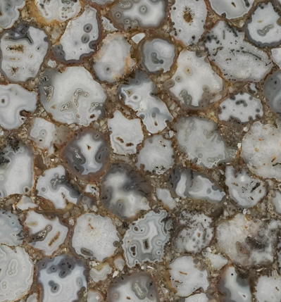 Fossil Agate
